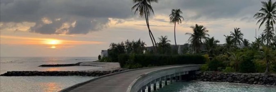 Remas banner