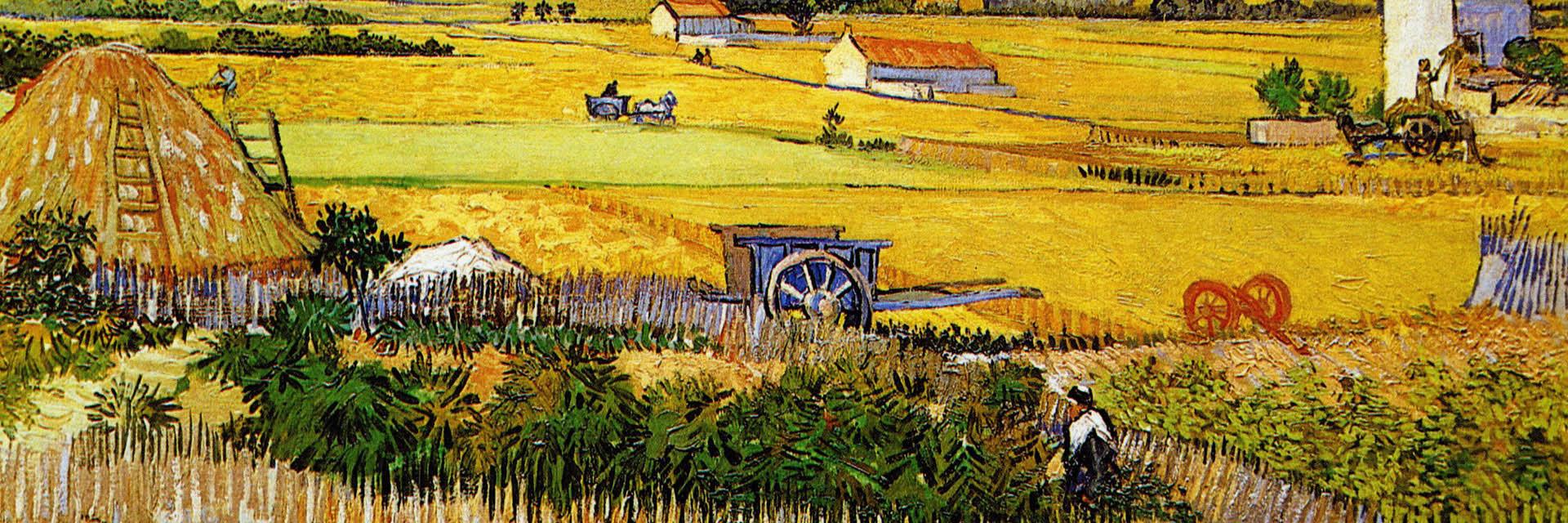 peabraincat's profile banner image