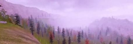 Deveianda banner