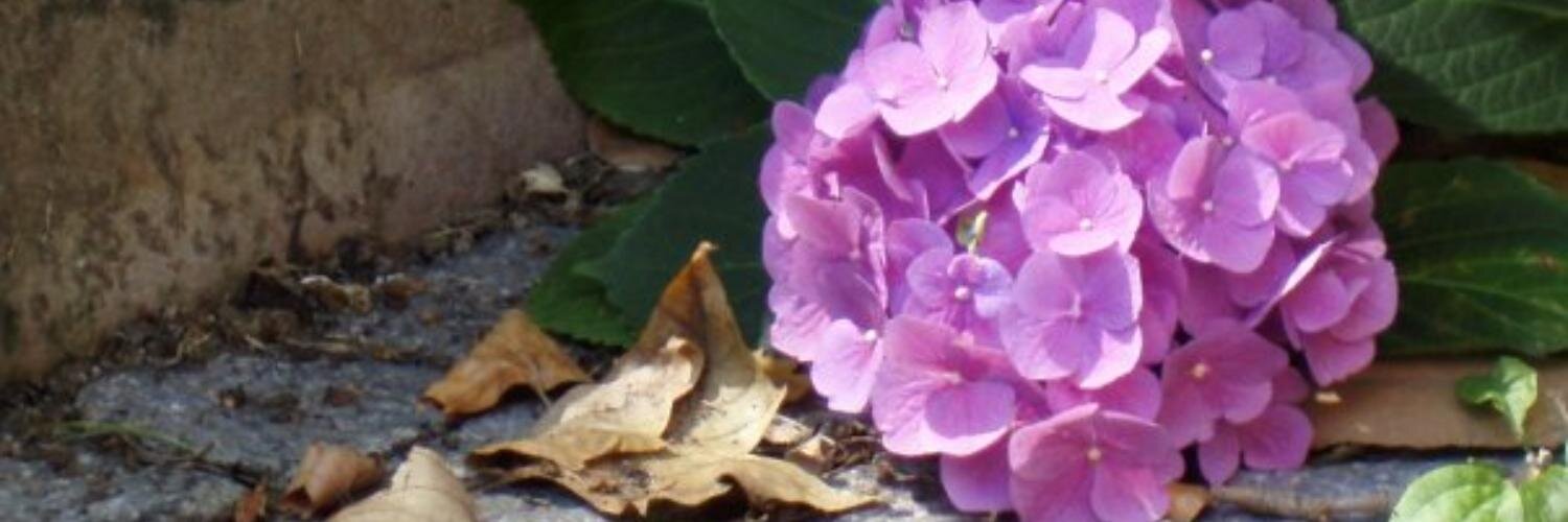 mandy__leigh's profile banner image