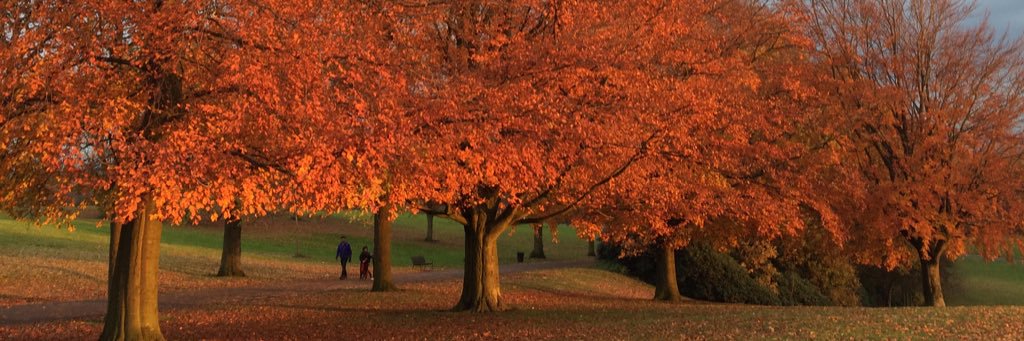 chris amdorble🇺🇦🇺🇦 banner