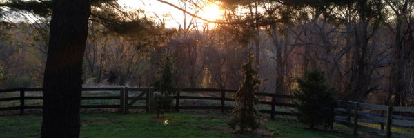 dbookis Profile Banner