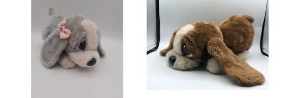 killmeowpls Profile Banner