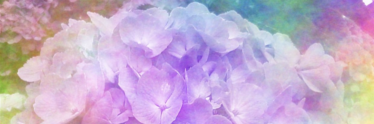 yumarider's profile banner image