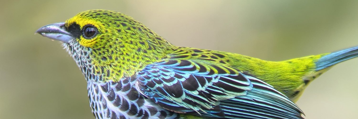 kadrizfgr's profile banner image