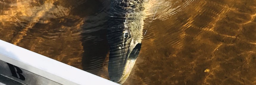 Pilkey77's profile banner image