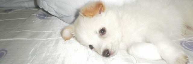 remremda's profile banner image