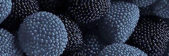 Cherrybunss banner
