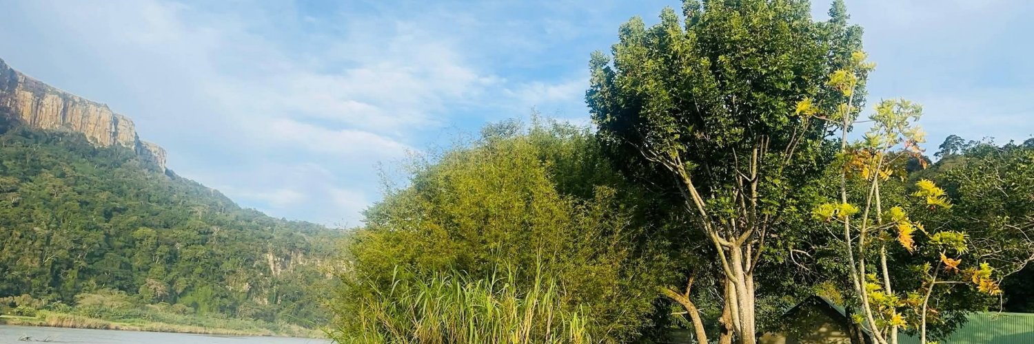 MambonaRode0's profile banner image