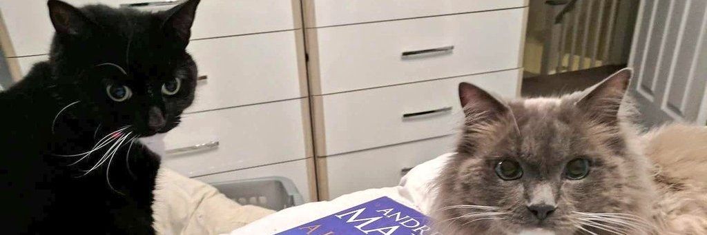 EllieBiscuits's profile banner image