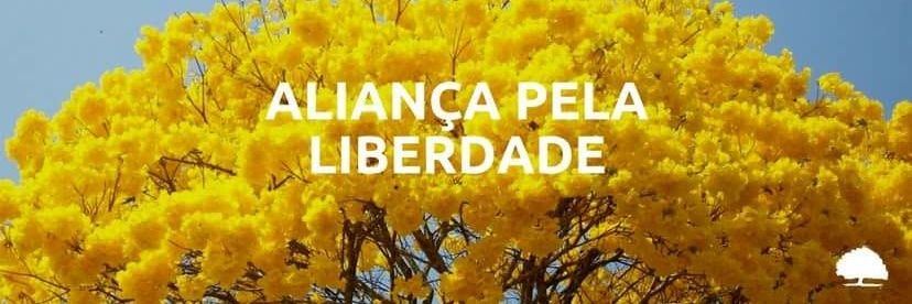 liberdadeUnB's profile banner image