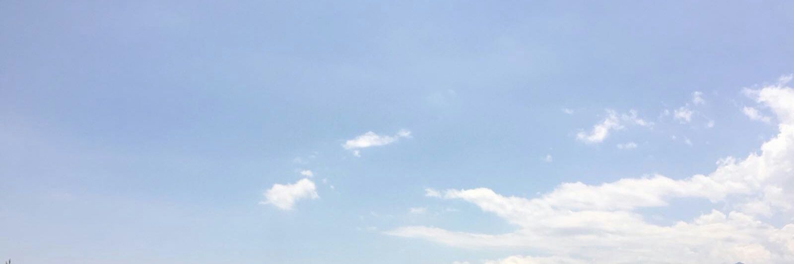 damlatarr's profile banner image