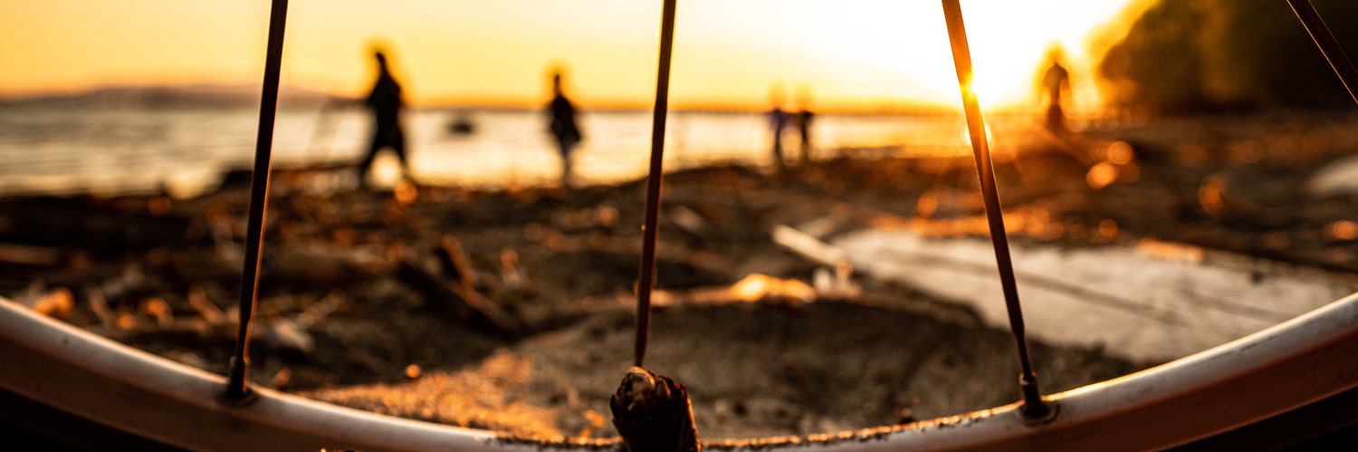 Austin Shenton banner