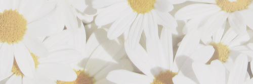 REDfearlessly's profile banner image