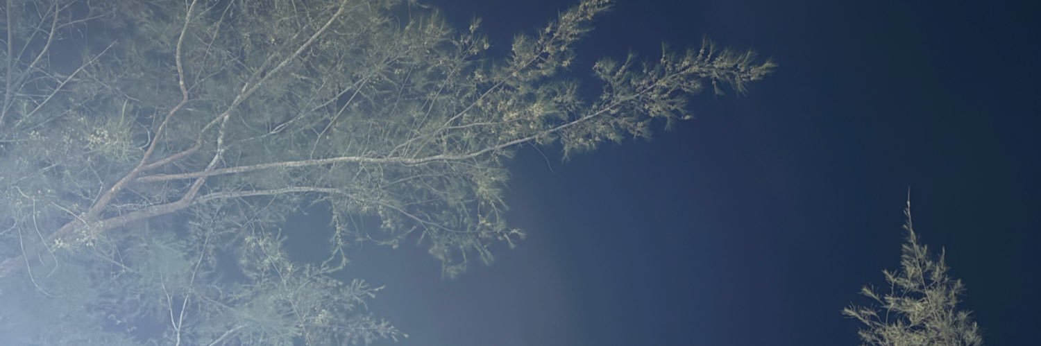 Shey. banner