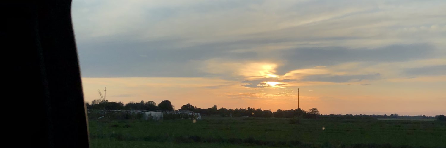 simeliee's profile banner image
