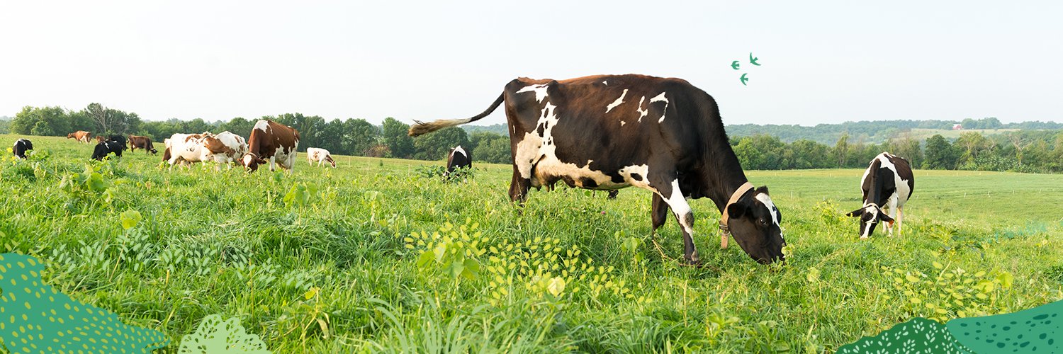Organic Valley banner