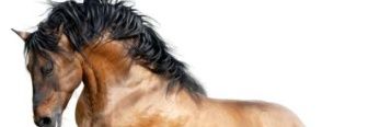 seijas1973's profile banner image
