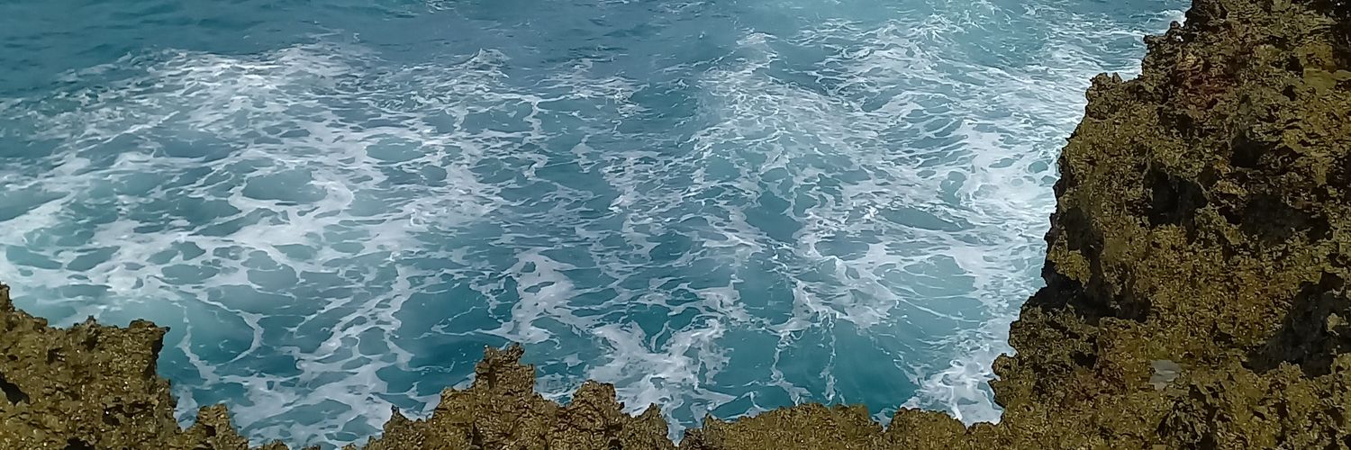 maci 🐥 banner