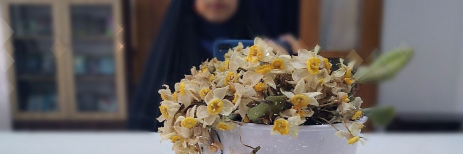 نرگس | 🇮🇷 Narges's banner