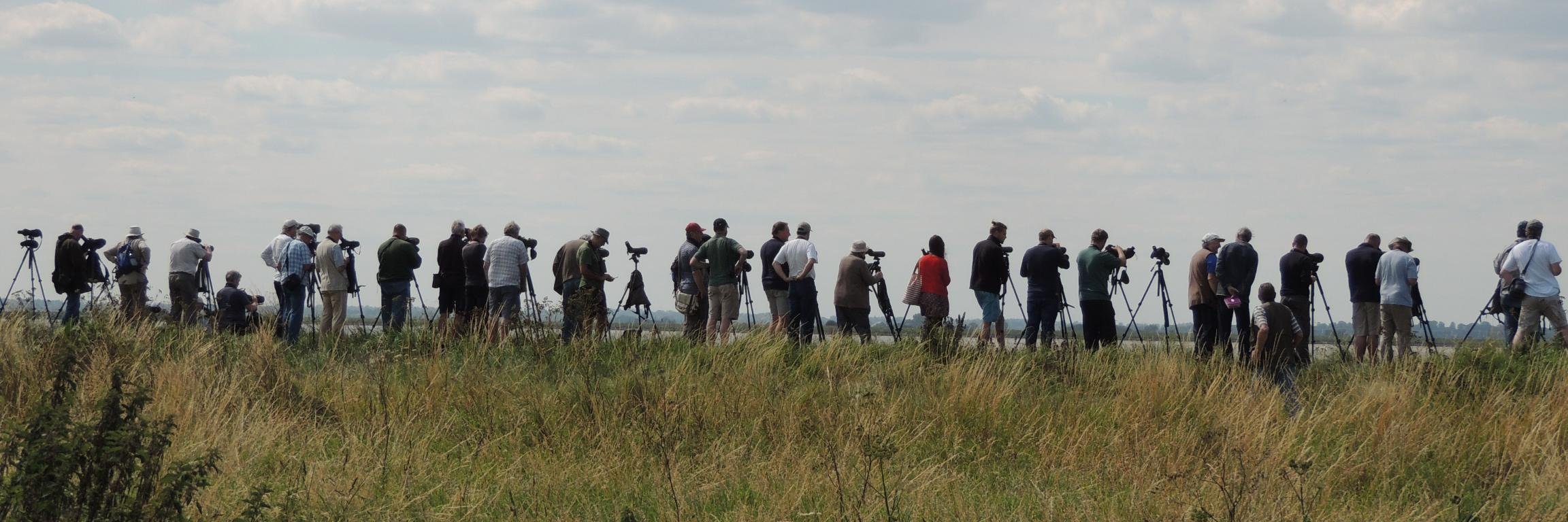 GarybirderNflk's profile banner image
