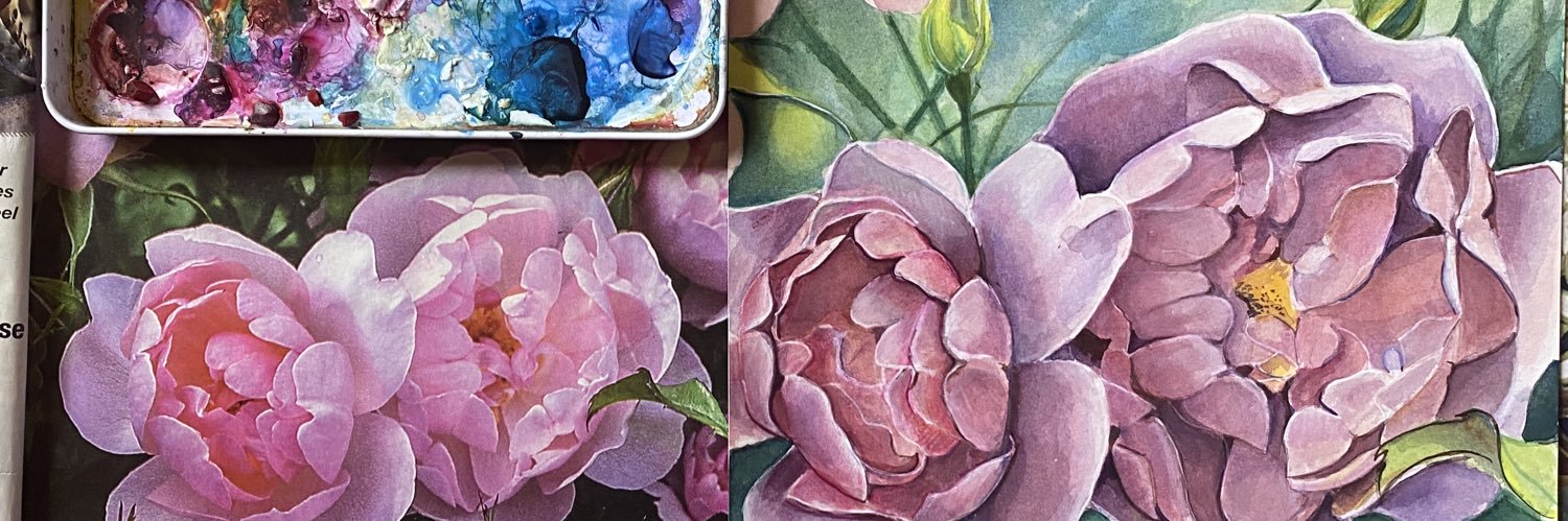 AmyCole501's profile banner image