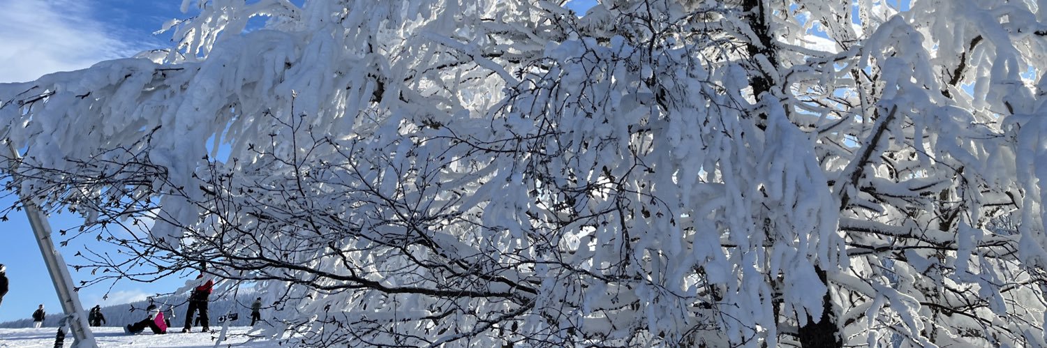 Allistor Rory banner