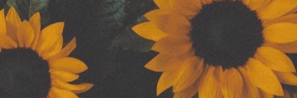 N_145a's profile banner image