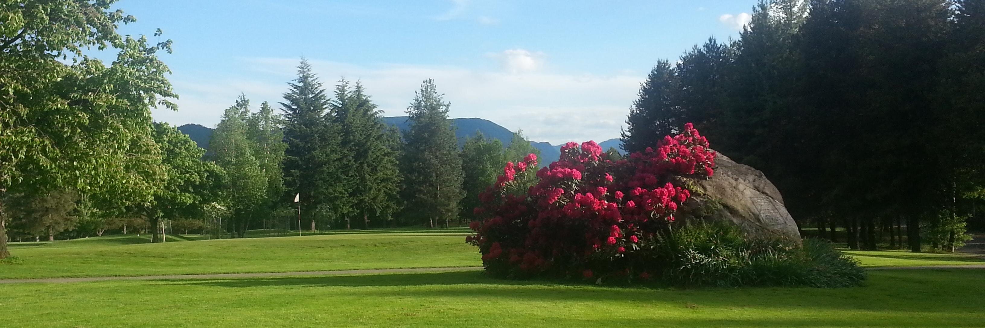 CastlegarGolf's profile banner image