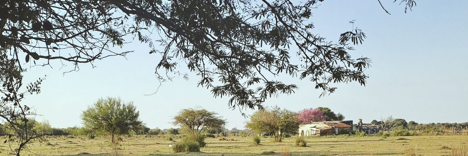 aayeeleenn's profile banner image