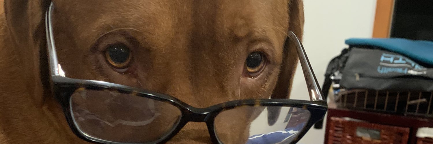 DrTMoriarty's profile banner image