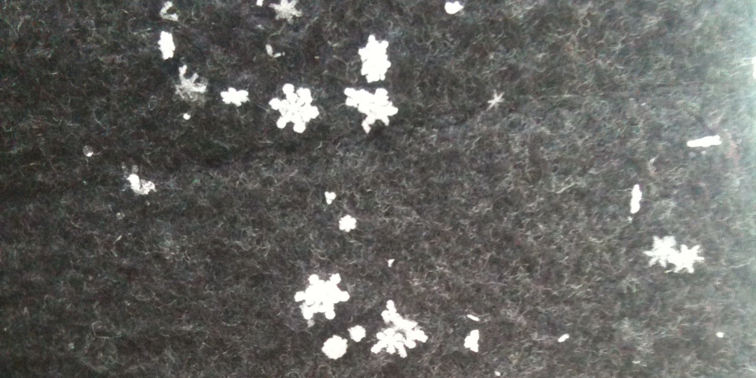 Cal's Library banner