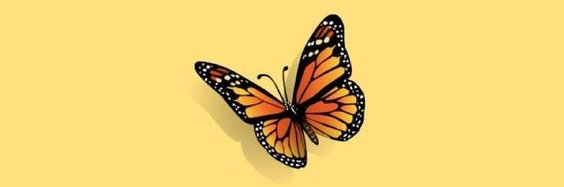 asheeseidel's profile banner image