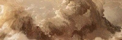 primula 🦋 banner