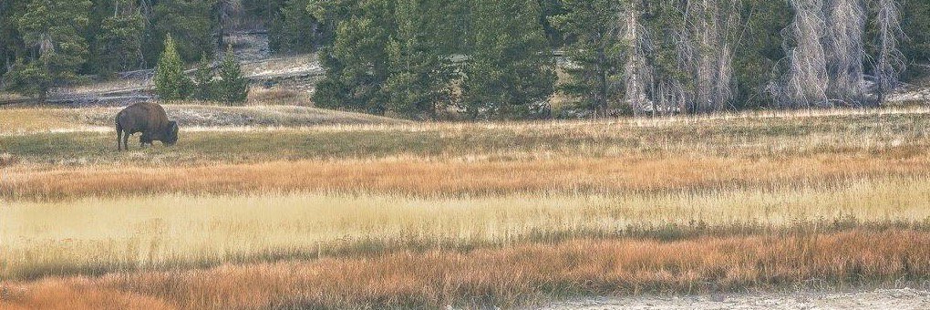 PStokesPhoto's profile banner image