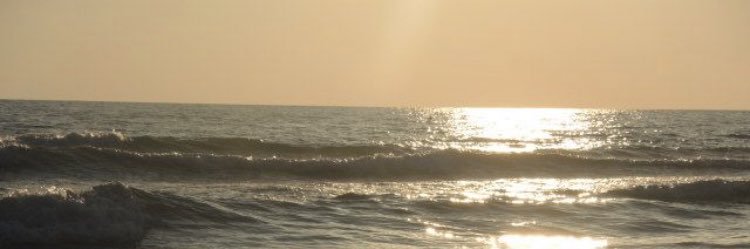 wixco7's profile banner image