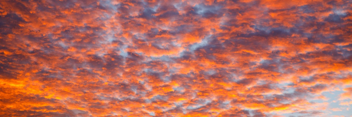 letygrx's profile banner image