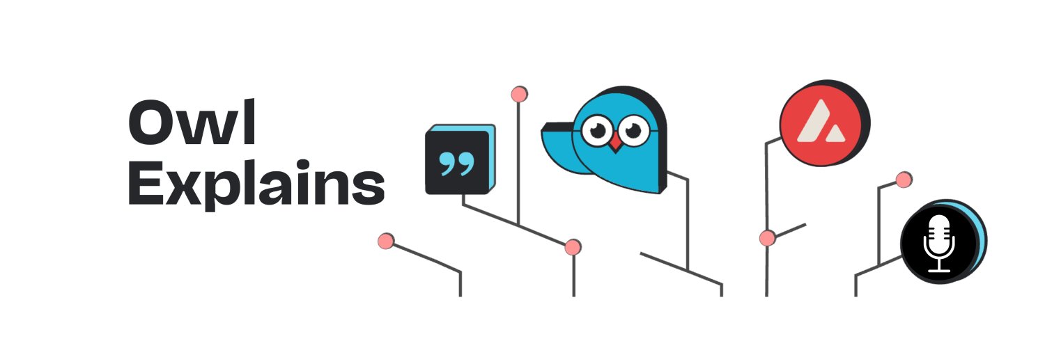 Owl Explains by Ava Labs 🔺's banner
