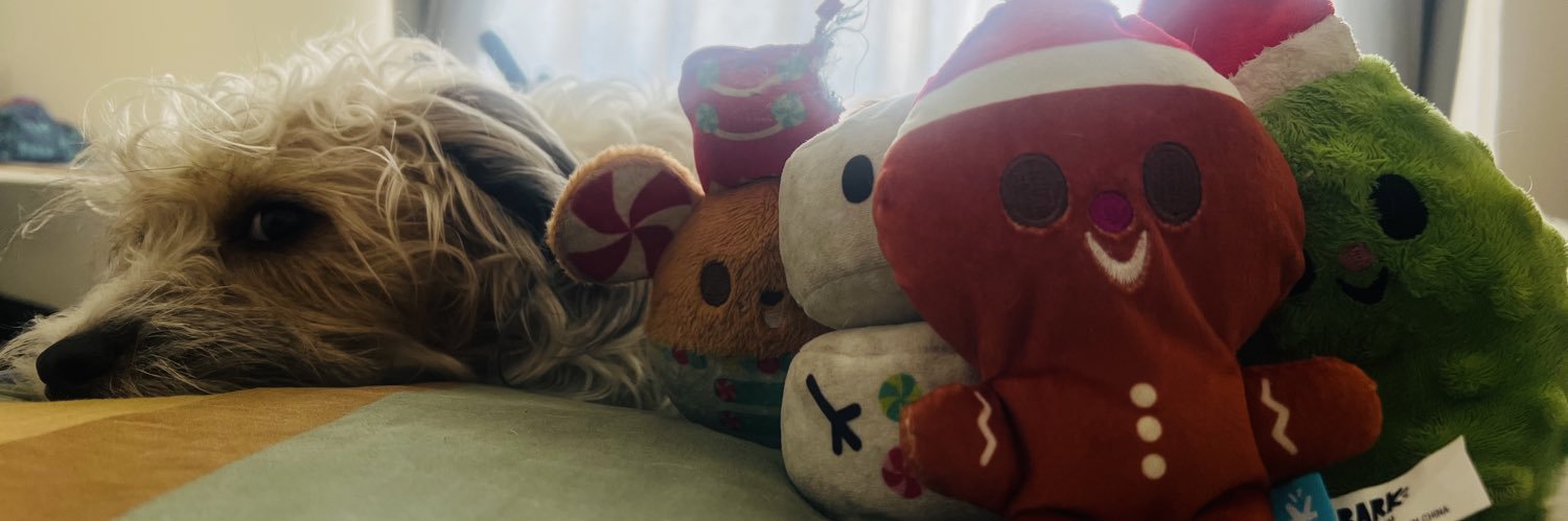GrissEstradaM's profile banner image