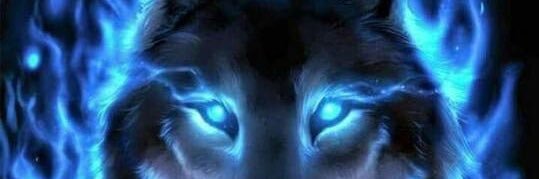 mgomota's profile banner image