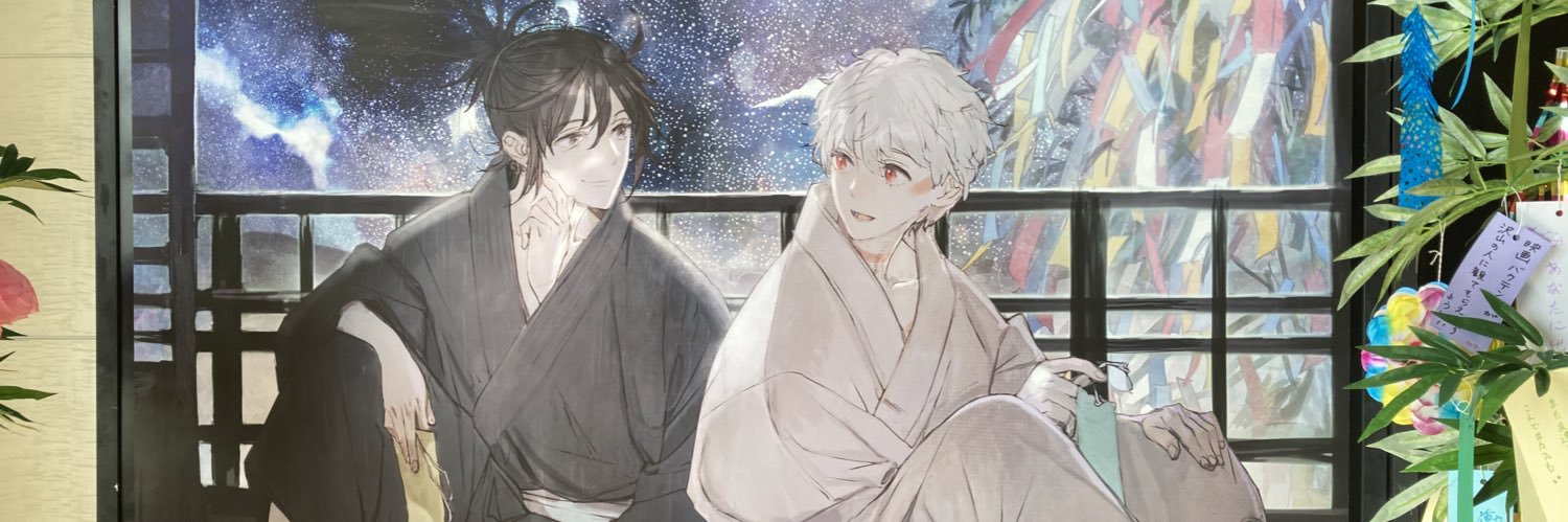 Rio banner
