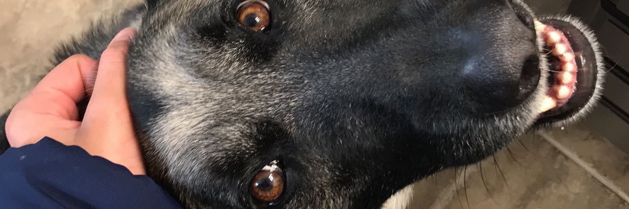 aubreyolson_'s profile banner image