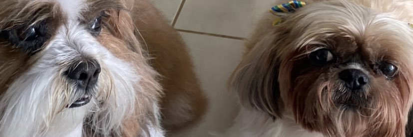 manuumarquesg's profile banner image