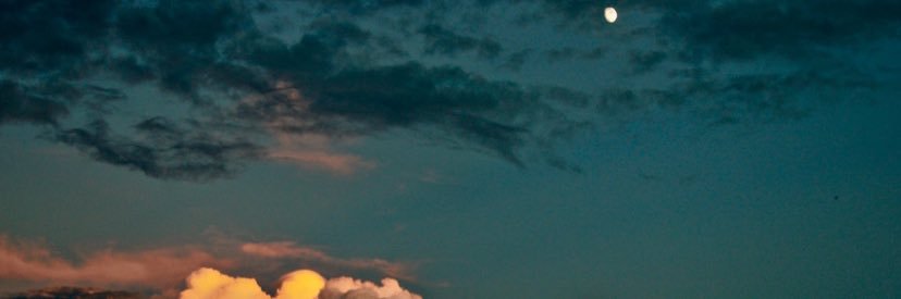 Anthony Johnson banner