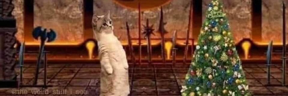 foolsbreak69's profile banner image