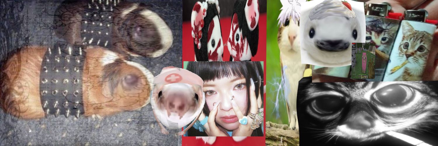 yuubbuibbui's profile banner image
