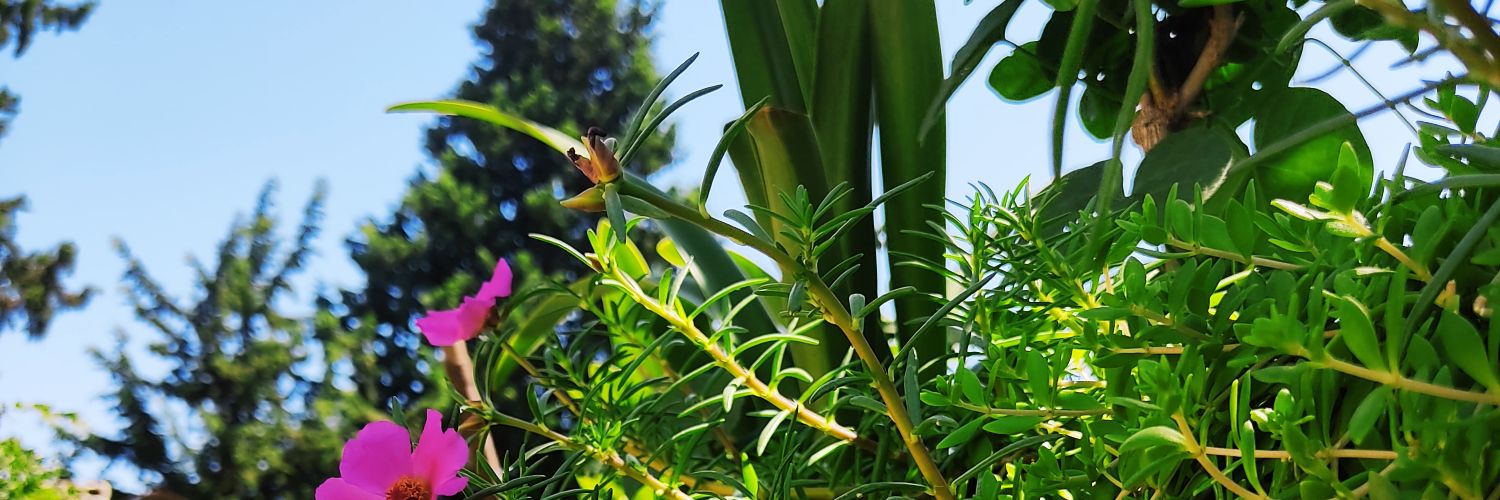 btar_5's profile banner image
