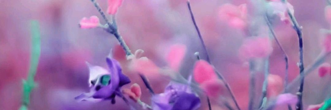 itzel2305's profile banner image