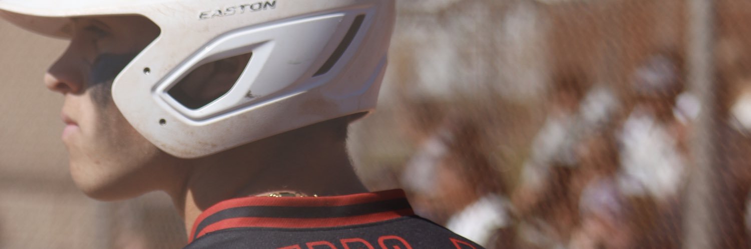 Evan Carrubba-Rice banner