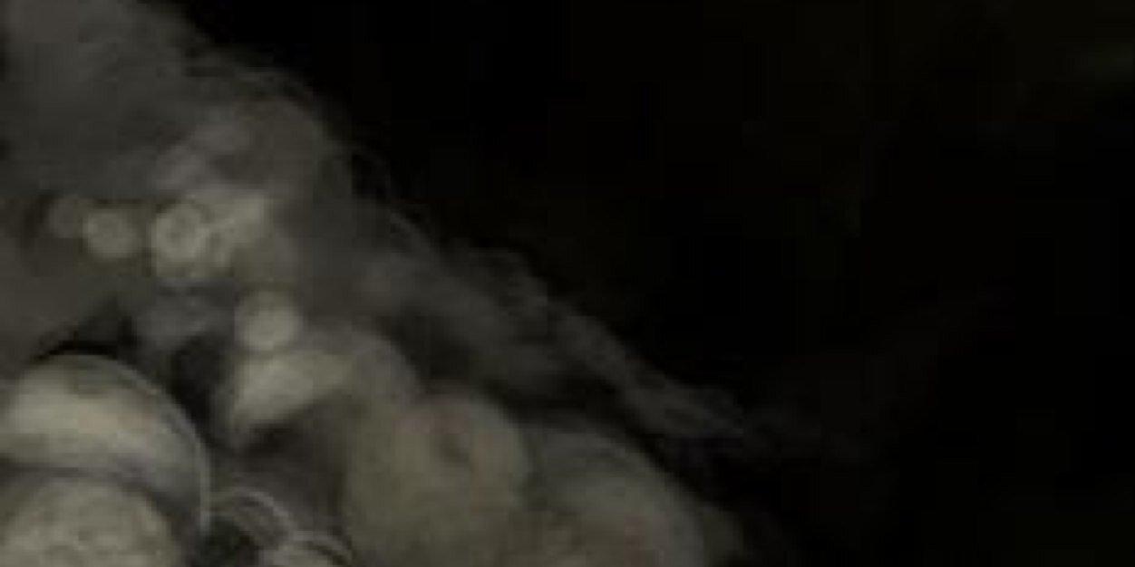 BloodyNature's profile banner image